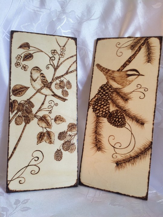 21733355_662524397283793_626625444_n