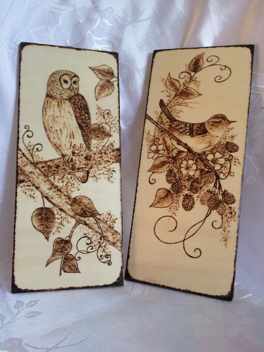 21769865_662524400617126_926015593_n