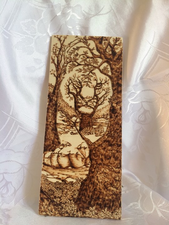 21733423_662524367283796_668275448_n